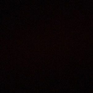 Meet your Posher, Lizzy